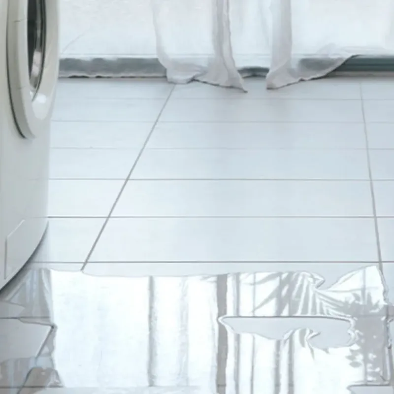 Appliance Leak Cleanup in Apple Valley, MN